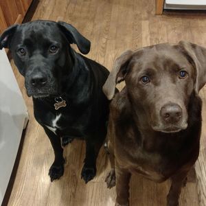 Meet your Posher, Nikki